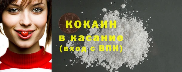 шишки Верея