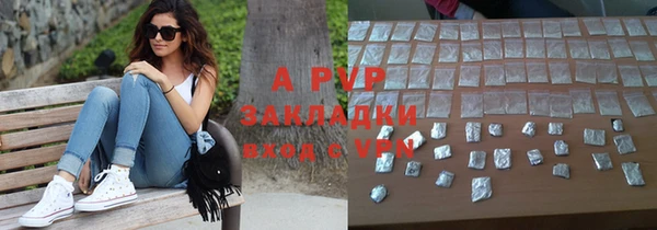 шишки Верея