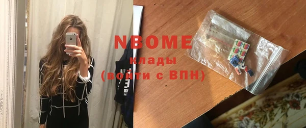 шишки Верея