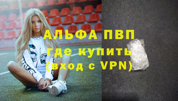шишки Верея