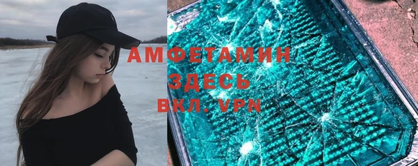 шишки Верея