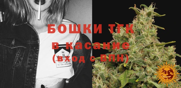 шишки Верея