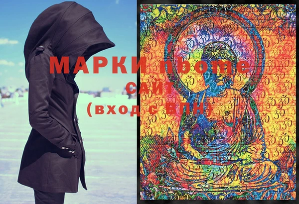 шишки Верея