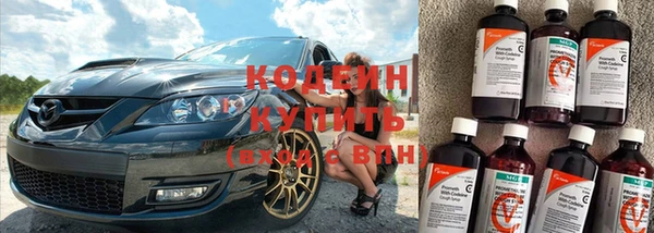шишки Верея