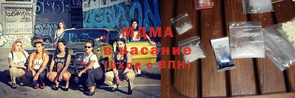 шишки Верея