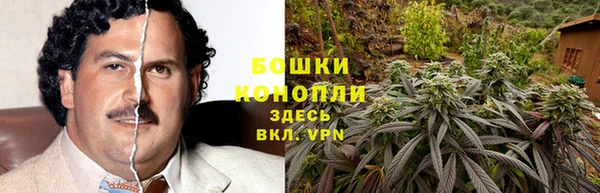 шишки Верея