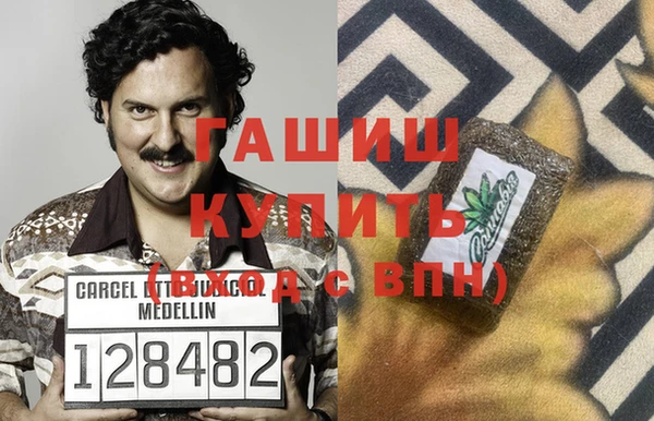 шишки Верея