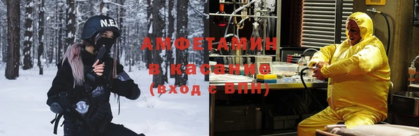 шишки Верея