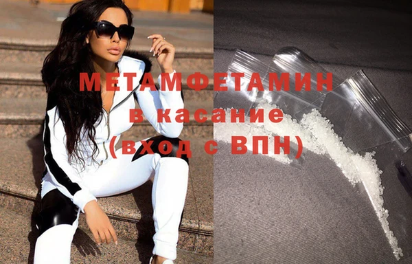 шишки Верея
