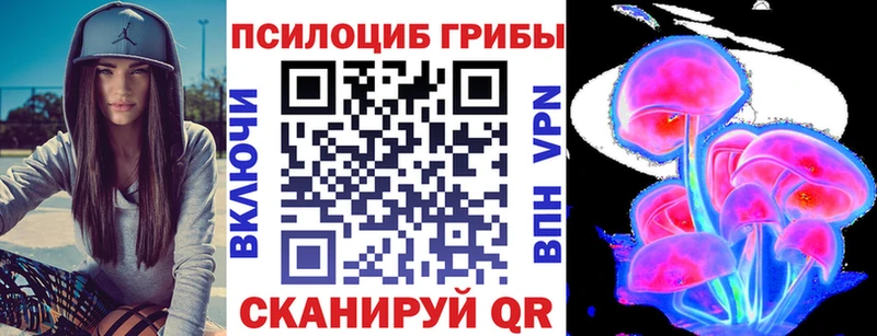 Купить закладки  Минусинск  Псилоцибиновые грибы Psilocybine cubensis 